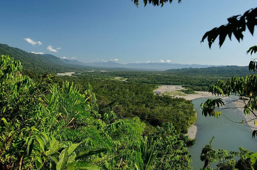Manu National Park, Cusco/Madre de Dios Region, Peru